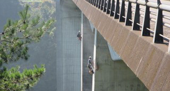 補修補強・維持保全部門ロープアクセスによる橋梁点検イメージ画像